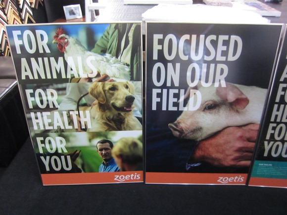 กรอบอลูมิเนียมสีเงินใส่โปสเตอร์